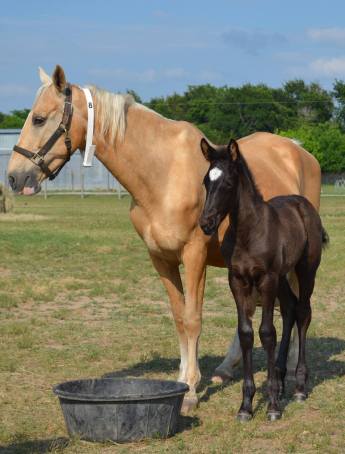 10263976_797407153616774_6987180850701029873_o