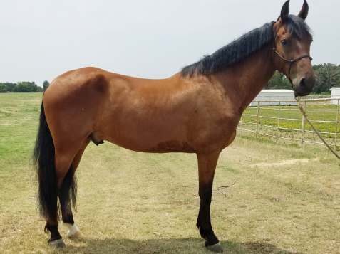 37909119_10160746302520594_4239551201290485760_n