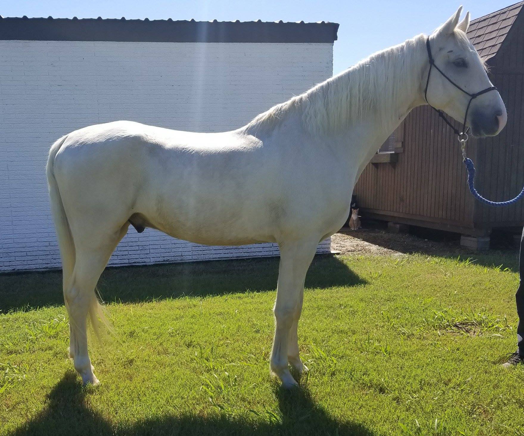 55462335_2605158362831642_6848540170556276736_o (1)