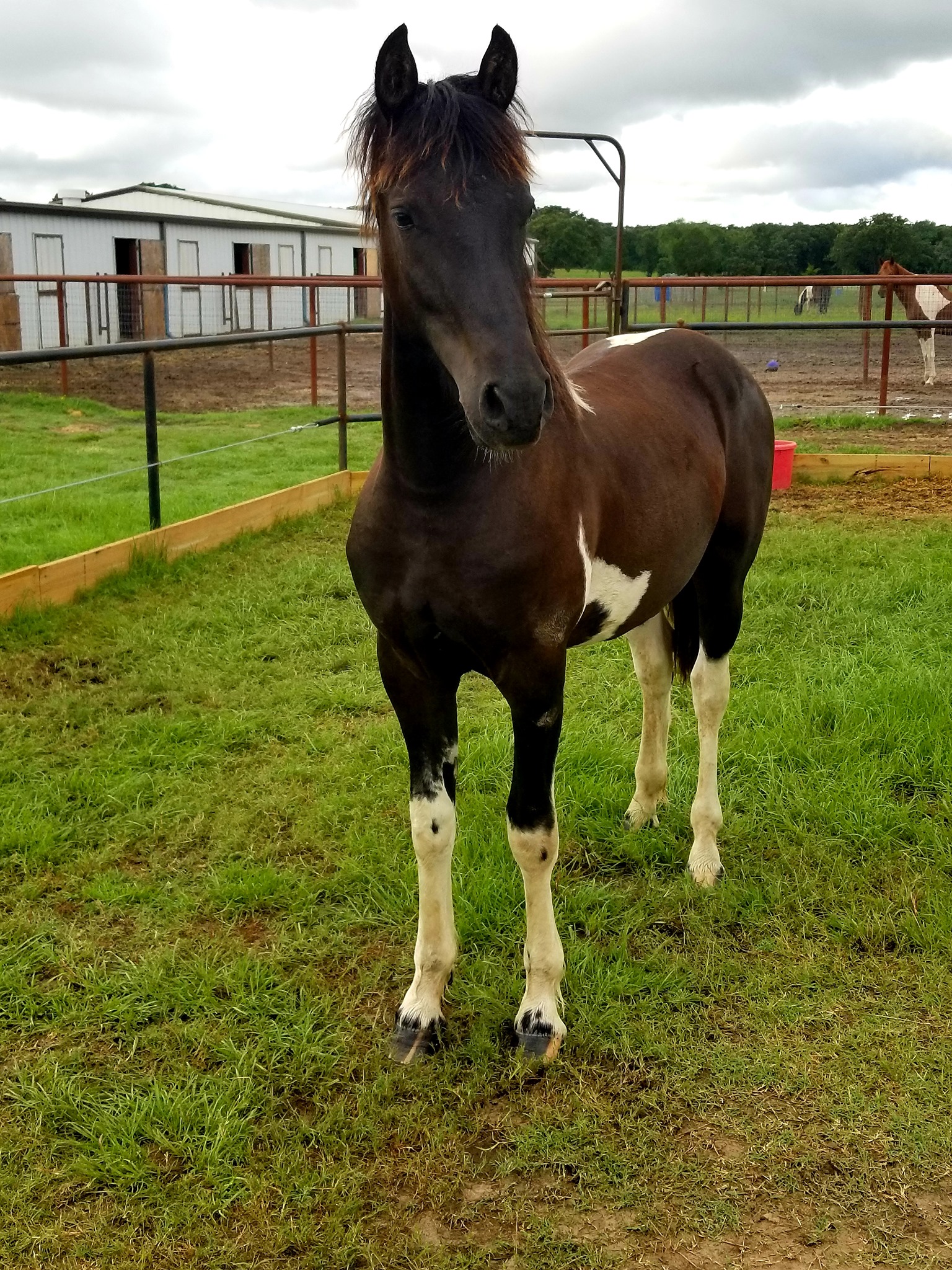 62239311_2737361956277948_1784128598714613760_o