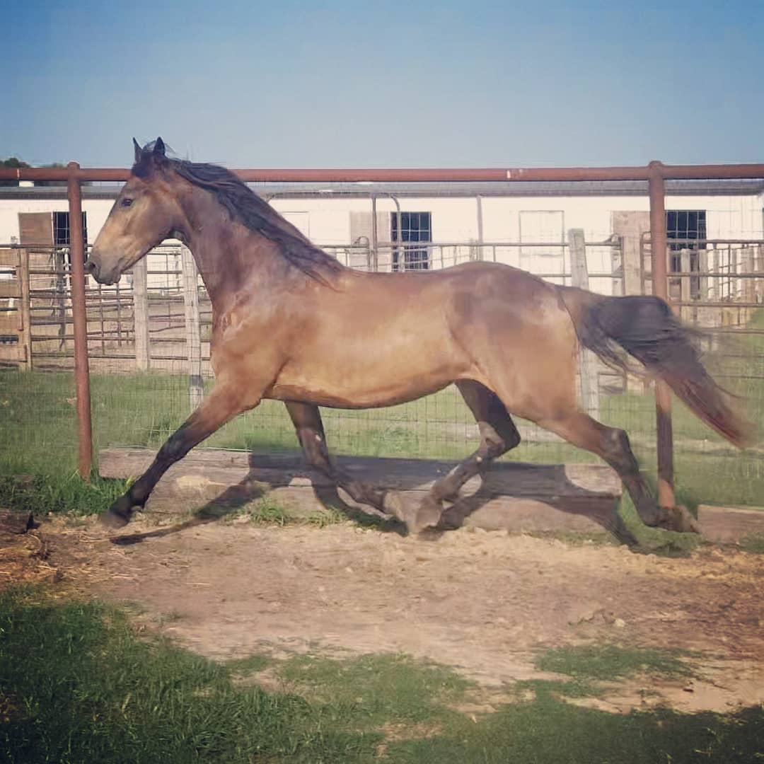 65453440_2778888555458621_327712756373389312_o