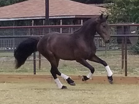 67324237_2838108066203336_6167593566999674880_o