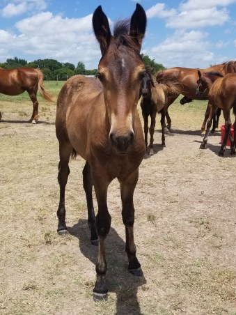 67402257_2814597265221083_7673784485413912576_o