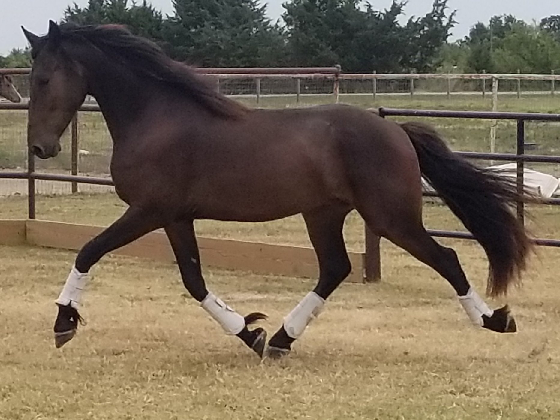 67803481_2838108119536664_3175449762098839552_o