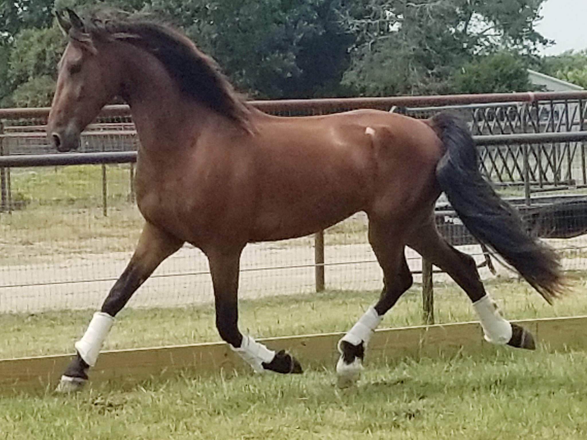 67941106_2838123992868410_8676619496028372992_o