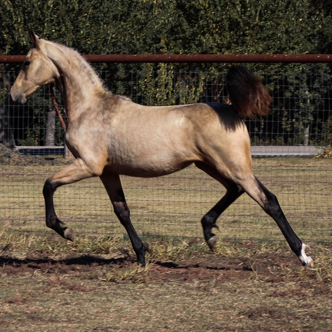 73091772_2991560270858114_4929138033506123776_o