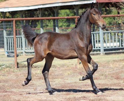 73513571_3071858799494927_5595713431677173760_o