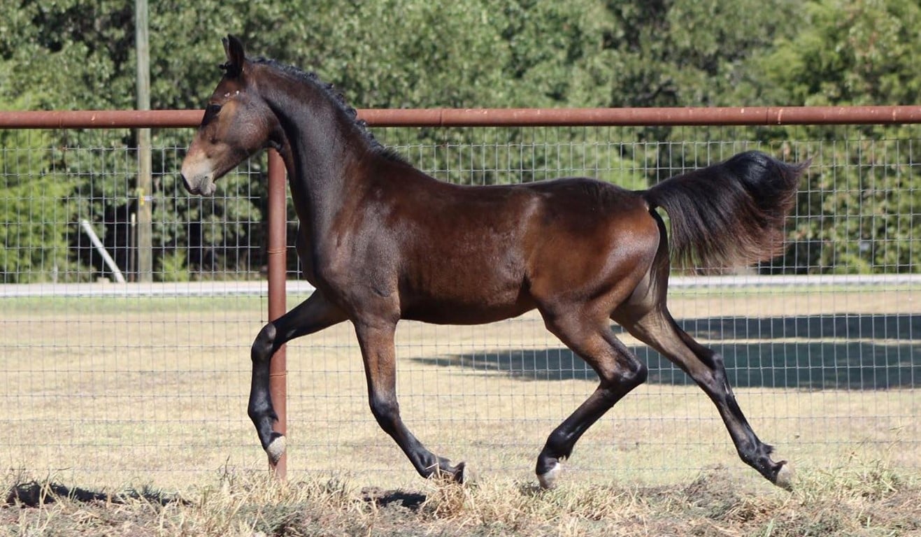 74701546_3071858762828264_539660708007116800_o