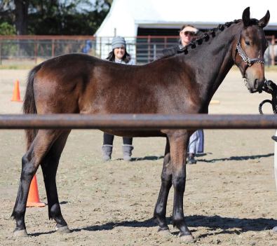 76706747_3071858816161592_3922235701747253248_o